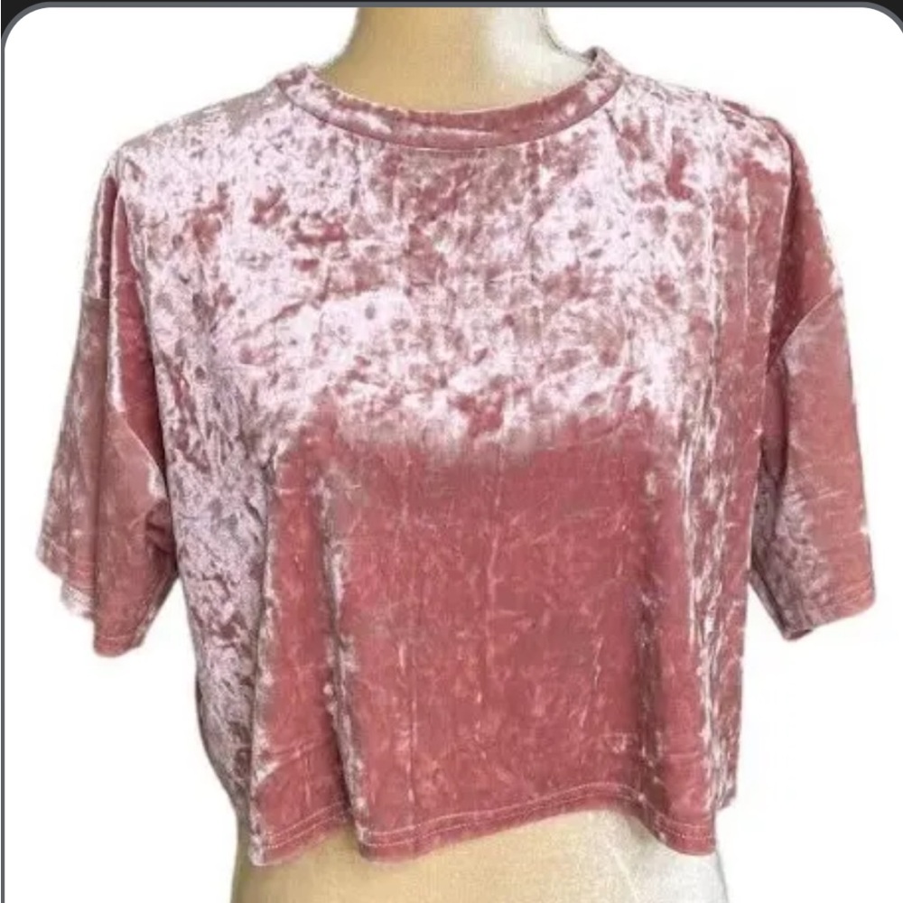 Urban Outfitters Velvet Pink Top